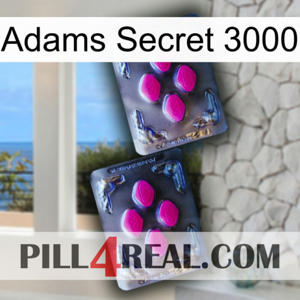 Adams Secret 3000 01